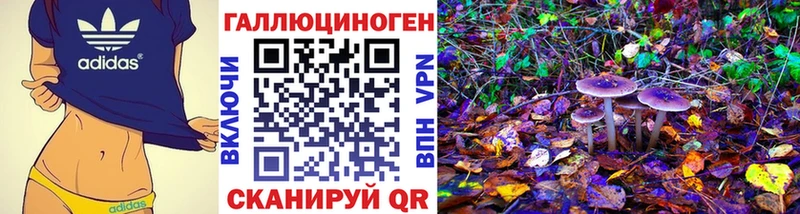 Псилоцибиновые грибы прущие грибы  Невельск 